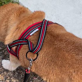 彦さま～（＾０＾）の画像