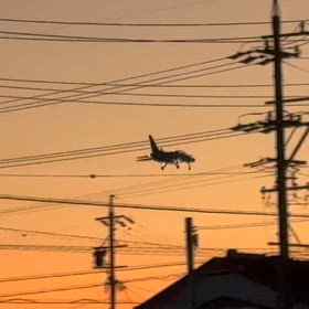 次男坊を迎えにの画像