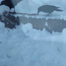 冬は大変の画像