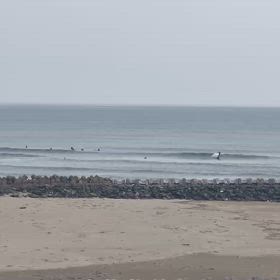 セット胸肩の画像