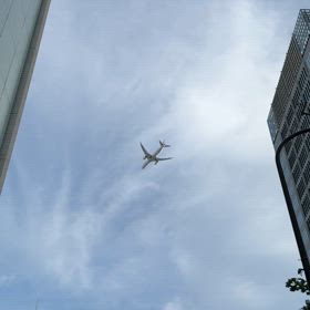 低空飛行の画像