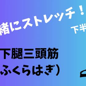 年末年始ストレッチ⑥下腿三頭筋（ふくらはぎ）の画像