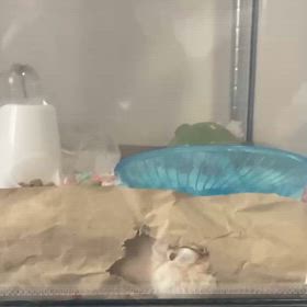 分かりにくかった映像の画像