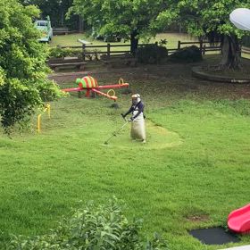 沖縄草刈りの画像