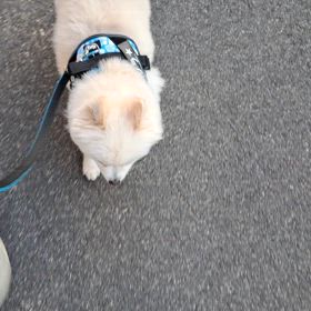 ゆうんぽ♪の画像