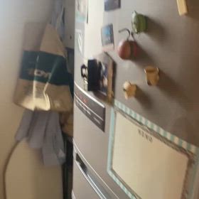 半年に一度の画像