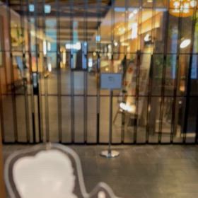 振り向き界隈 瀬央さん編の画像