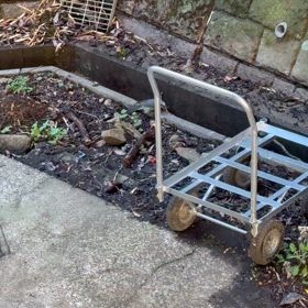 なんて名前の鳥さんですかね?の画像