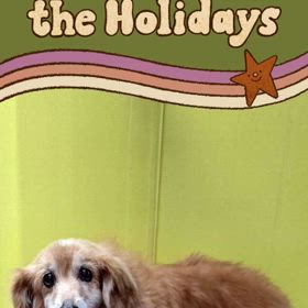 DOGXDOG コトちゃんの画像