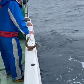 銛撃ち〜の画像