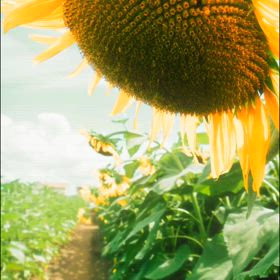 無事に、東へ　心から感謝です　♡の画像