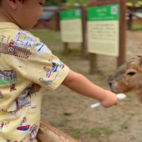 振り向かせることができなかったの画像