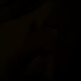 だめだこりゃの画像