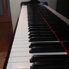 【手小さい英ポロ主婦】スッキリ！さらばよ〜4㌧トラック分の雪『別れの曲』割烹着朝練の画像