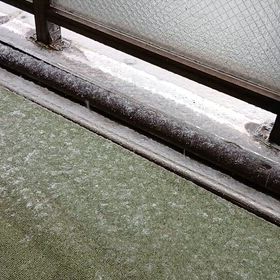 まさかの雪!!の画像