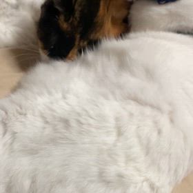 雨の合間にの画像