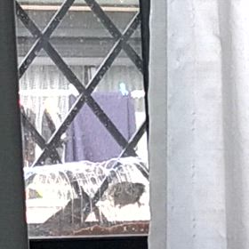 ☆外来診療〜再燃( ；∀；)の画像