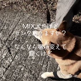 石岡八郷ベースの画像