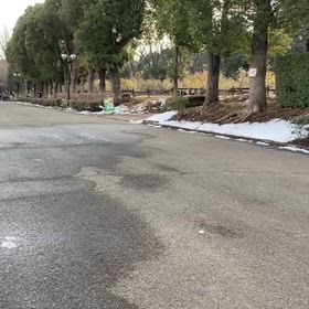 リレー選考会（女子）ゴール付近⑧の画像