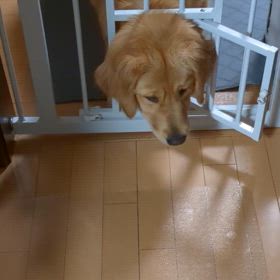 仲良くなれない二人。の画像