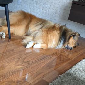 びっくりするよ…の画像