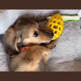 ふっくんの日々是好日 布川敏和オフィシャルブログ