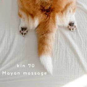 kin70のエネルギーの画像