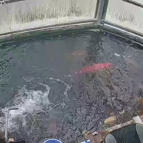 今日の様子の画像