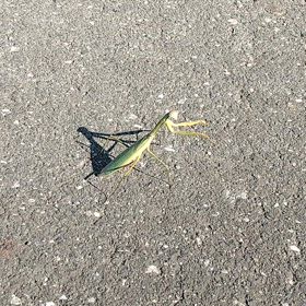 今日の一本の画像