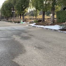 リレー選考会（女子）ゴール付近➉の画像