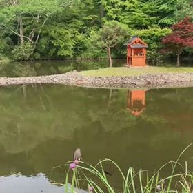 浄瑠璃寺 その2 ～濃い緑と、池と、国宝の阿弥陀如来像がお祀り