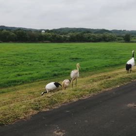 スポーツの秋の画像