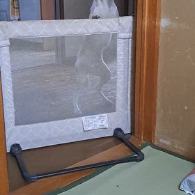 ヤングの  画像