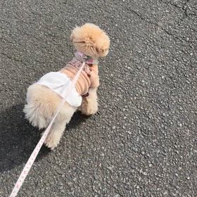 風が強い日の画像