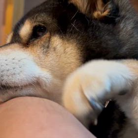 つまらん村の画像