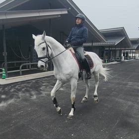 話をしながら、ピアッフェの画像