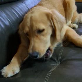 初めて食べるおやつ。の画像