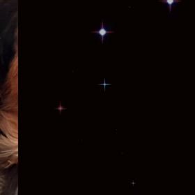 初めて迎えた月命日の画像