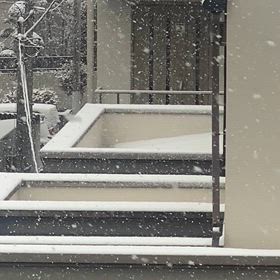 3cmの積雪＊*.✼ ゜の画像