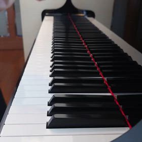 【手の小さい英ポロ主婦】命中率に悶絶『ラ・カンパネラ』練習動画の画像