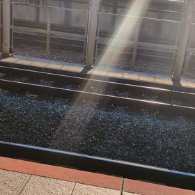 駅で鳥の名前を知るの画像