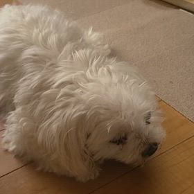 一睡も出来なかったの画像