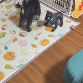 最近の二人の画像