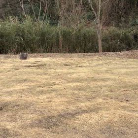 1歳の息子が教えてくれた『まずは自分から』の画像