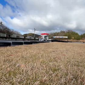 明日27日（月）はグリドリ！の画像