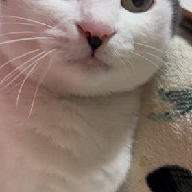 とりあえず早寝早起きの画像