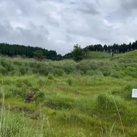 砥峰高原の画像