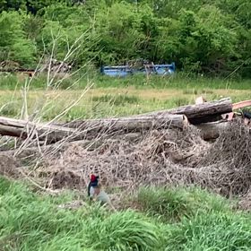 6/22〜6/30 個人レッスンスケジュール　　福島市ギター教室の画像