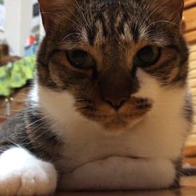 順に痒くなり、蚊にも刺されて…ジム活は6時間！締め切った部屋にの画像