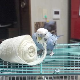 不意に気づく件の画像